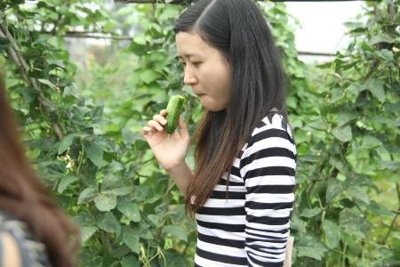 Các bạn trẻ hào hứng thử sản phẩm ngay tại ruộng