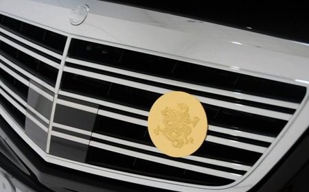 Ngắm Mercedes S600 phiên bản Rồng Brabus - 4 Hình rồng ở sát bánh trước