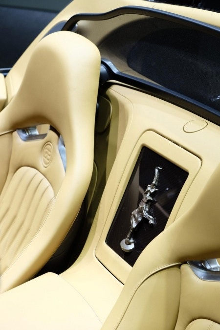 Thêm một phiên bản đặc biệt của Bugatti Veyron