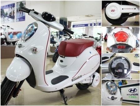 Trên mỗi sản phẩm đều thể hiện logo chữĠH
của Hyundai Ebike