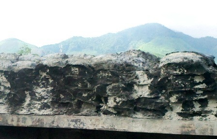 Cả hai chiếc xe
Audi đều bị hư hỏng nặng sau vụ tai nạn nhưng rất may không có ai bị thương.