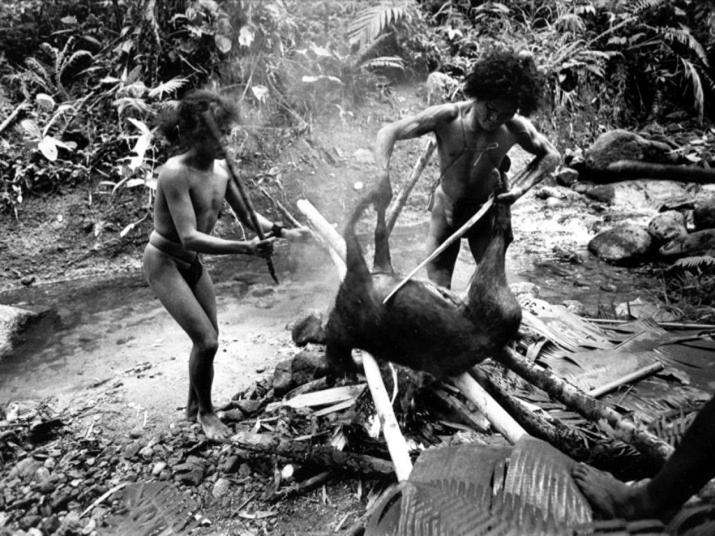 Lừa đảo cả chuyện phát hiện một tộc người nguyên thủy? - 6 Người Tasaday sống theo chế độ một vợ một chồng, tồn tại trên mảnh đất của mình một cách hạnh phúc