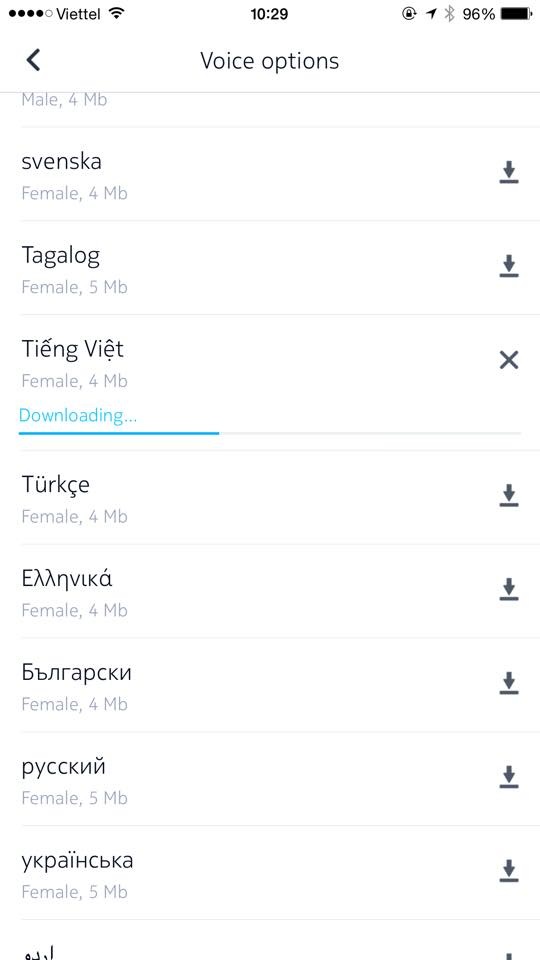 Người dùng tải ngôn ngữ tiếng Việt để được nghe hướng dẫn chỉ đường bằng tiếng Việt.