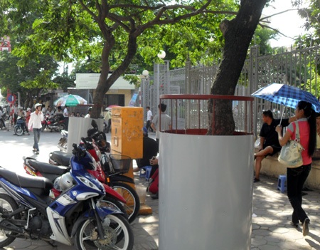 Ngỡ ngàng hàng loạt cây sưa “mặc áo giáp sắt” ở Hà Nội  - 2