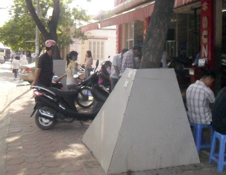 Những tuyệt chiêu bảo vệ cây sưa quý