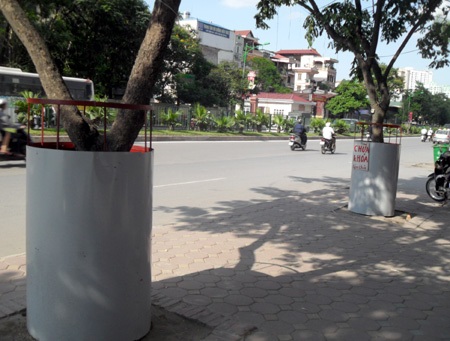 Những tuyệt chiêu bảo vệ cây sưa quý