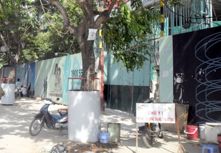 Ngỡ ngàng hàng loạt cây sưa “mặc áo giáp sắt” ở Hà Nội  - 8