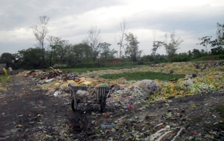 Kinh hoàng cả xã cùng "xây dựng phong trào"...hun khói - 3