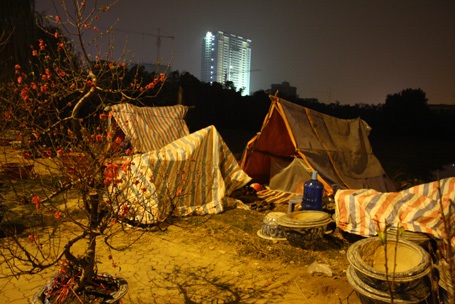 Co ro “canh Tết” cho người Thủ đô - 3