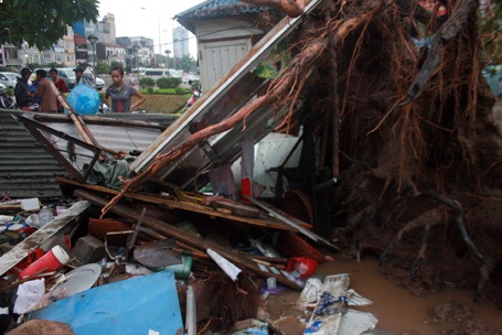 Cây bật gốc kéo theo hàng loạt công trình xung quanh