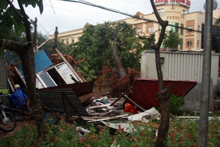 Gió to cây cổ thụ bật gốc, nhà bị thổi tung