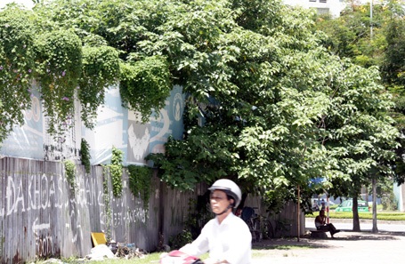 Hà Nội quyết xử lý “đất vàng” bỏ hoang - 1 Một lô đất vàng bỏ hoang (ảnh chụp tháng 7/2012)