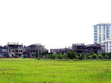 Xử lý tổ chức, cá nhân chậm giao đất dịch vụ cho dân - 1 Hàng nghìn hộ dân mất đất nông nghiệp vẫn dài cổ đợi đất dịch vụ (ảnh minh họa)