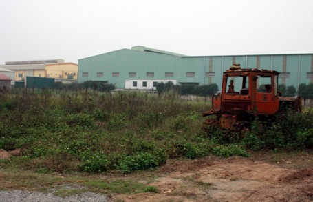 “Quyết thu hồi dự án không triển khai!” - 2 Một dự án treo nhiều năm để cỏ mọc tốt um tùm (ảnh chụp tháng 3/2012)