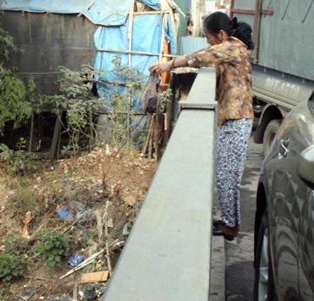 Cá chép vàng được phóng sinh xuống khúc sông ngập rác