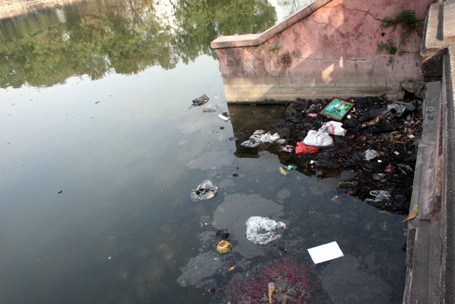 Nghẽn đường vì rác, cá phóng sinh... bao giờ lên được trời!