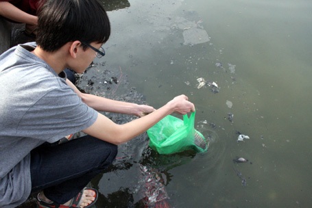 Nghẽn đường vì rác, cá phóng sinh... bao giờ lên được trời!
