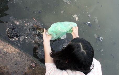 Nghẽn đường vì rác, cá phóng sinh... bao giờ lên được trời!