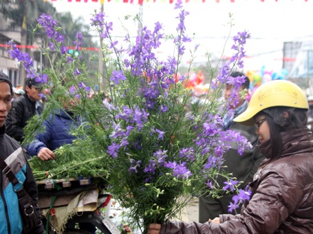 Phiên chợ hoa cuối cùng trong năm Âm lịch vẫn rất đông người mua bán