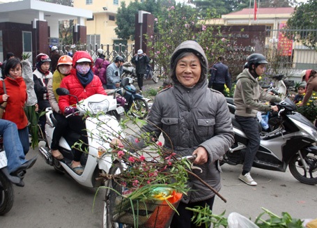 Kinh tế khó khăn, ảnh hưởng đến thu nhập nhiều người chọn những cành hoa hợp với túi tiền