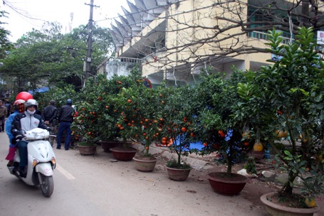 Hàng tồn kho cũng khá nhiều