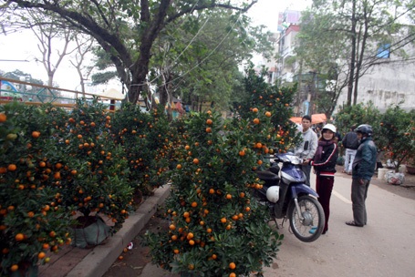 Hàng tồn kho cũng khá nhiều
