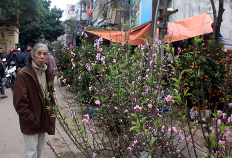 Hoa lan được nhiều người hỏi mua