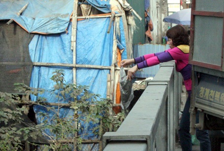 Cá chép vàng được phóng sinh xuống khúc sông ngập rác