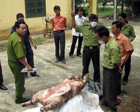 Hà Nội yêu cầu cán bộ không nhận quà biếu là động vật hoang dã - 1 Lực lượng chức năng bắt giữ một vụ vận chuyển động vật hoang dã