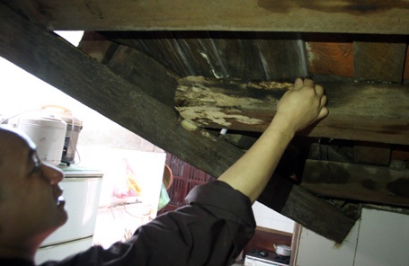 Gỗ của chùa Diên Hựu bị mục nát
