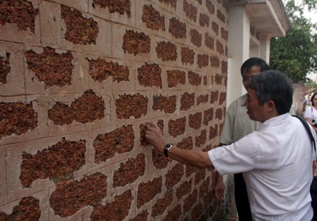 Họa tiết giả cổ gây ấn tượng cho người xem