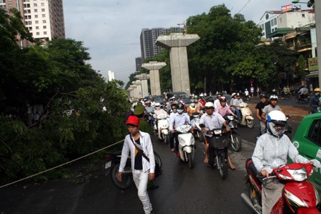 Hà Nội: Sưa đỏ trước cổng trường ĐH Kiến Trúc bị cưa trộm - 2 Cây sưa bị chặt gốc đổ ra đường ảnh hưởng đến giao thông