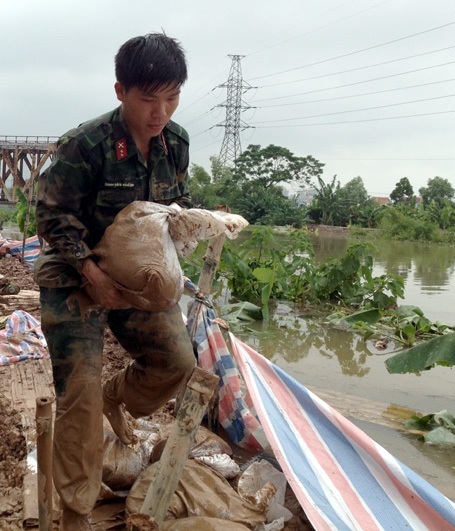 Hối hả cứu đê
