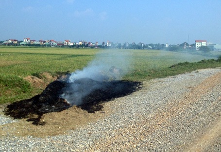 Việc đốt rơm, rạ không chỉ lãng phí năng lượng mà còn gây ô nhiễm môi trường