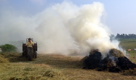 Gặp khói rơm, rạ, nhiều người cảm thấy cay mắt và khó thở