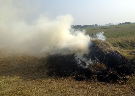 ... còn phần lớn là bỏ đi