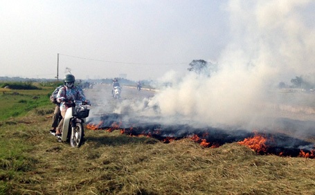 Ngoại thành Hà Nội vào mùa gặt, đâu đâu cũng thấy nghi ngút khói rơm, rạ