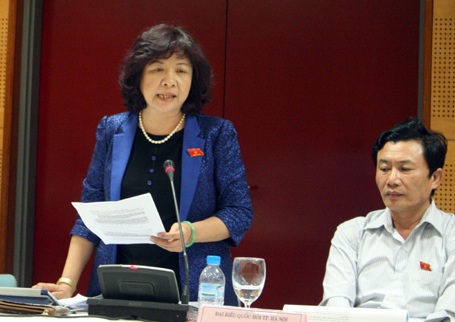 Nguyễn Phạm Ý Nhi lo ngại nhiều phát sinh khi mang thai hộ