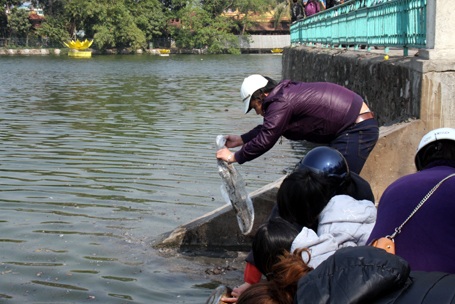 Hồ nước trong mát hôm nay bị nhuốm màu đen xì