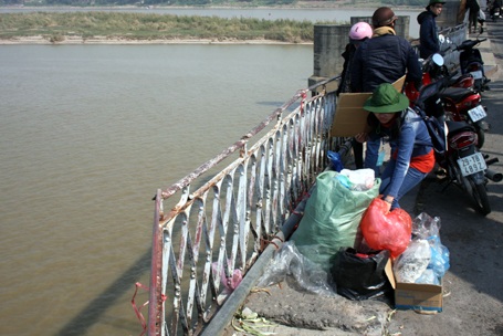 Bị phóng sinh trong “biển rác” nhiều chú cá tắc tử ngay lập tức