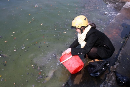 Bị phóng sinh trong “biển rác” nhiều chú cá tắc tử ngay lập tức