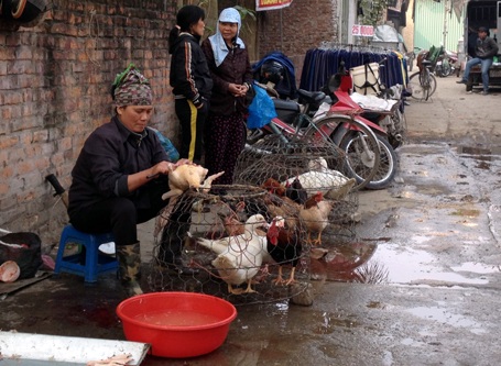 Gà vịt được làm thịt ngay trong chợ