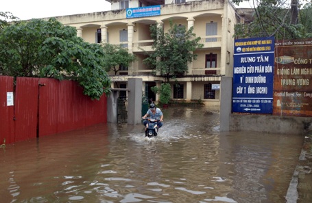 Nhiều cơ quan, trường học biến thành biển nước sau trận mưa lớn đầu mùa