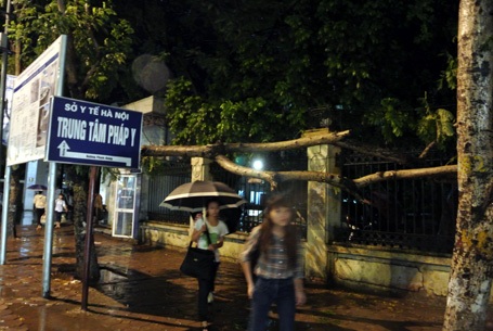 Cành cây treo lơ lửng trên đầu người đi trên vỉa hè đường Xuân Thủy