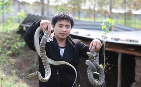 Khám phá “vương quốc rắn” lớn nhất ở Trung Quốc - 16 Một thanh niên trong thôn giới thiệu giống rắn gia đình nuôi