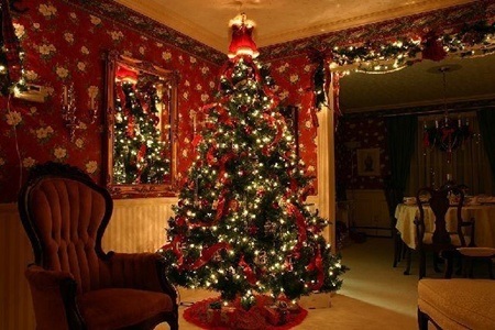 Những lễ hội sôi động của thế giới vào tháng cuối năm - 4 Cây thông noel là hình ảnh không thể thiếu vào ngày lễ
