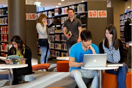 IV. Chương trình đào tạo: