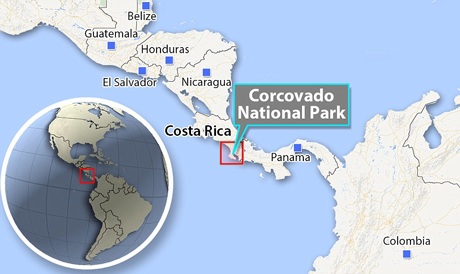 Ph ía tây nam của Costa Rica là nơi diễn ra cảnh tượng hãi hùng này