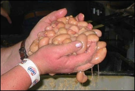 3 lễ hội “của quý” kỳ quái nhất thế giới