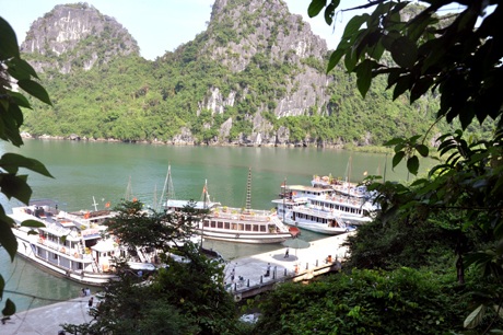 Vịnh Hạ Long và những sự kiện đáng nhớ - 1 Cảnh Vịnh Hạ Long nhìn từ hang Đầu Gỗ.
